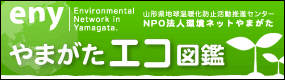��܂����G�R�}�� �R�`���n�����g���h�~�������i�Z���^�[ NPO�@�l���l�b�g��܂���