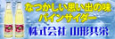 �p�C���T�C�_�[�̎R�`���h