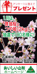 ���������R�`�v���[���g