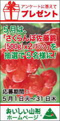 ���������R�`�v���[���g