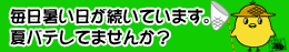 �ҁ[�����