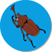 �X�P�W���[��