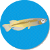 �V�����