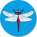 �f����