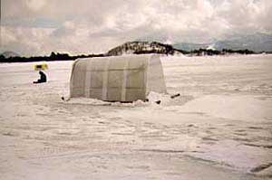 ���J�T�M����2