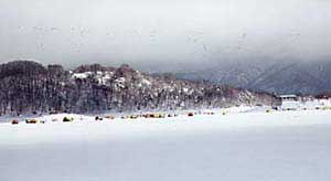 �e���g��