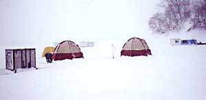 �e���g���i