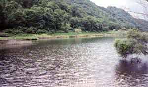 ���E�_��