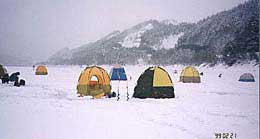 �e���g��