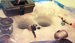 �e���g����