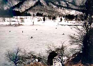 ���E�_�����i1