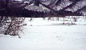 ���E�_�����i1