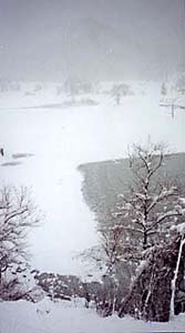 ���E�_�����i1