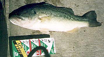 �u���b�N�o�X