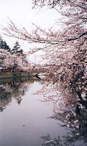 �����E�����J1