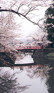 �����E�����J2